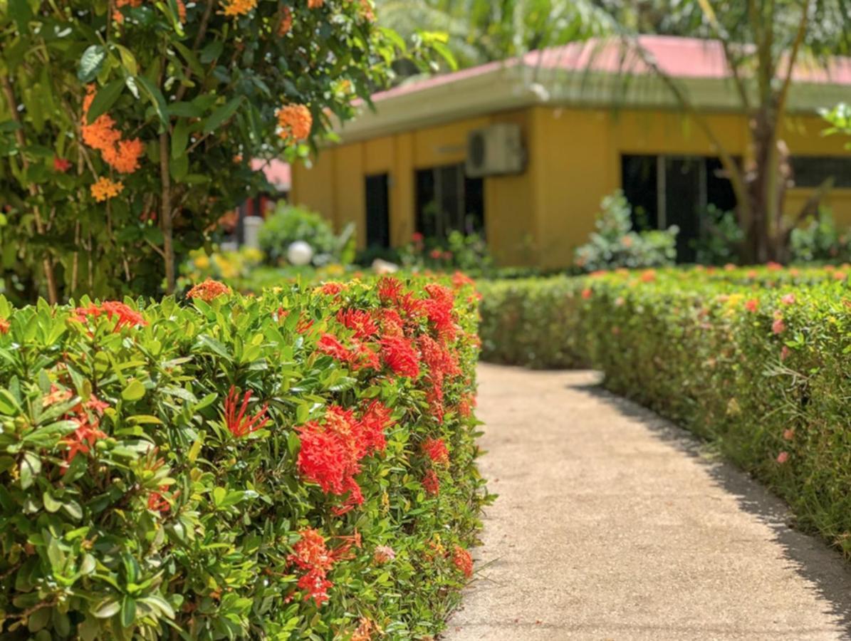 Hotel Isolina Beach Potrero  Exterior photo